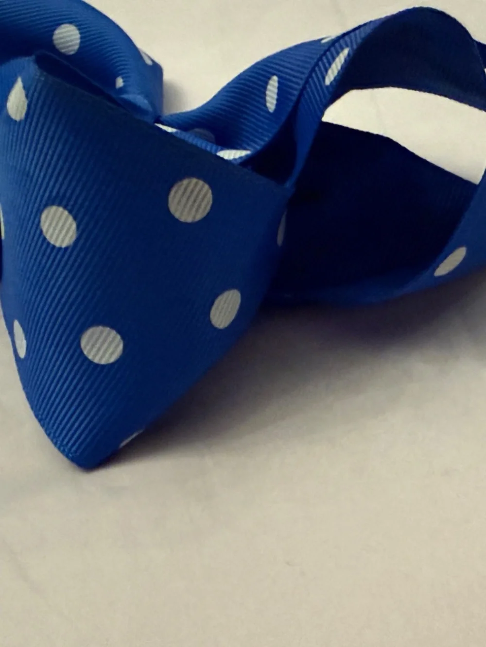 Royal Blue & White Polka Dot Grosgrain